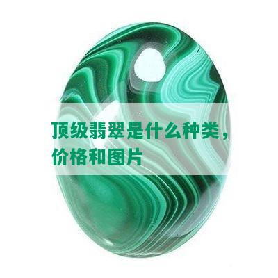 顶级翡翠是什么种类，价格和图片