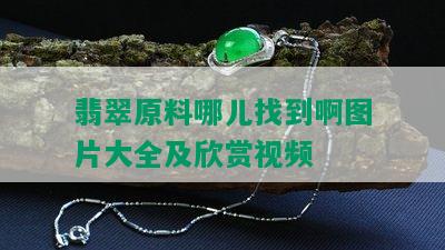 翡翠原料哪儿找到啊图片大全及欣赏视频