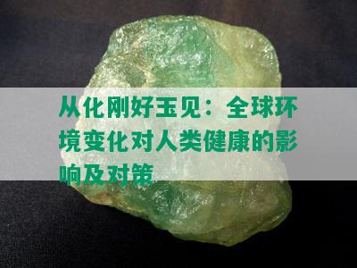 从化刚好玉见：全球环境变化对人类健康的影响及对策