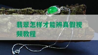 翡翠怎样才能辨真假视频教程