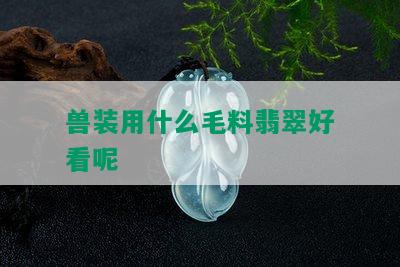 兽装用什么毛料翡翠好看呢