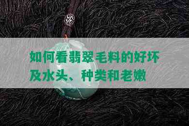 如何看翡翠毛料的好坏及水头、种类和老嫩