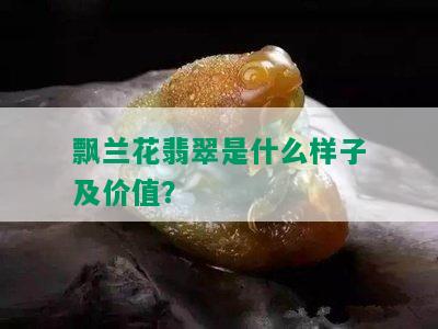 飘兰花翡翠是什么样子及价值？