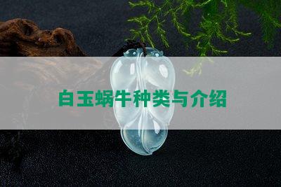 白玉蜗牛种类与介绍