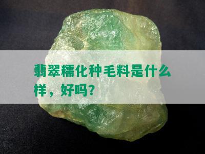 翡翠糯化种毛料是什么样，好吗？