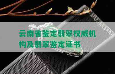 云南省鉴定翡翠权威机构及翡翠鉴定证书