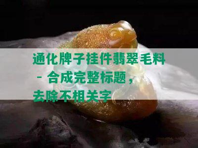 通化牌子挂件翡翠毛料 - 合成完整标题，去除不相关字