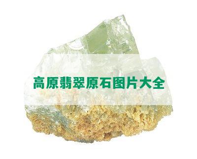 高原翡翠原石图片大全