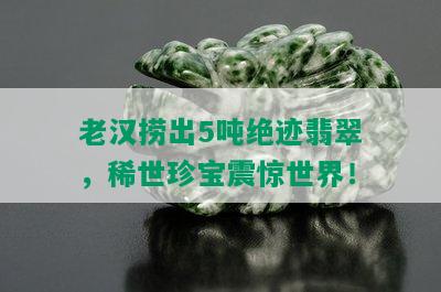 老汉捞出5吨绝迹翡翠，稀世珍宝震惊世界！