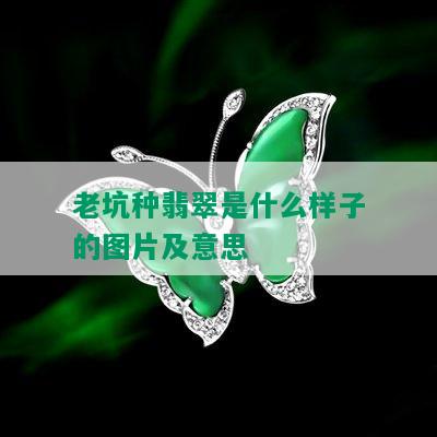 老坑种翡翠是什么样子的图片及意思