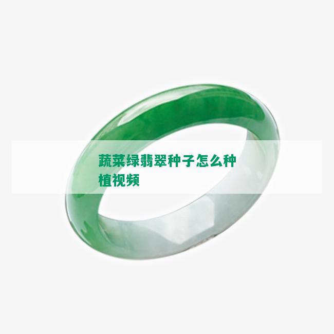 蔬菜绿翡翠种子怎么种植视频