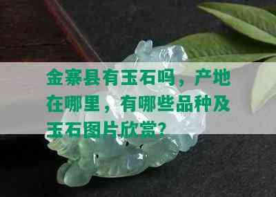 金寨县有玉石吗，产地在哪里，有哪些品种及玉石图片欣赏？