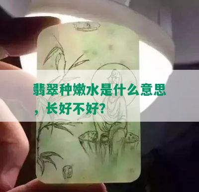 翡翠种嫩水是什么意思，长好不好？