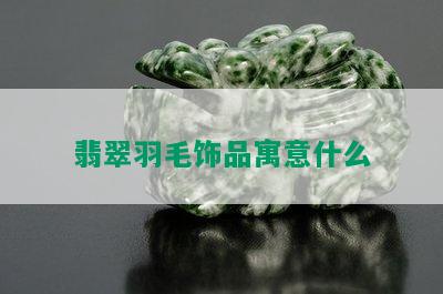 翡翠羽毛饰品寓意什么