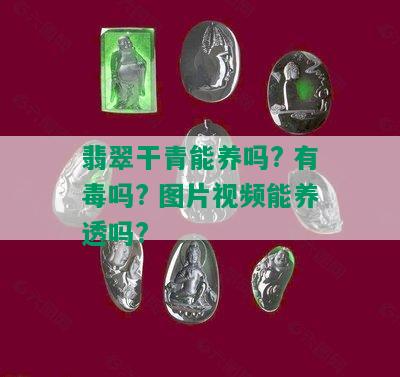 翡翠干青能养吗? 有吗? 图片视频能养透吗?