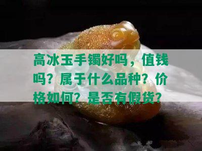 高冰玉手镯好吗，值钱吗？属于什么品种？价格如何？是否有假货？