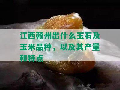 江西赣州出什么玉石及玉米品种，以及其产量和特点