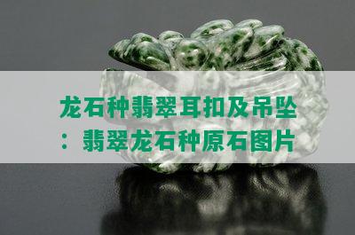 龙石种翡翠耳扣及吊坠：翡翠龙石种原石图片