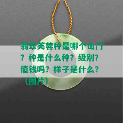 翡翠芙蓉种是哪个山门？种是什么种？级别？值钱吗？样子是什么？（图片）