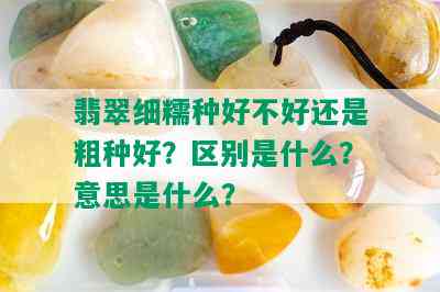 翡翠细糯种好不好还是粗种好？区别是什么？意思是什么？