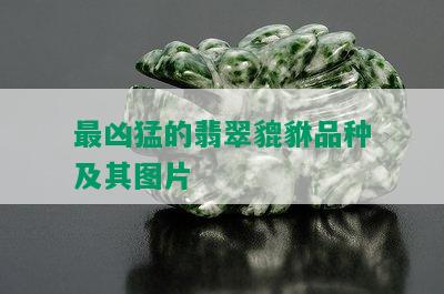 最凶猛的翡翠貔貅品种及其图片