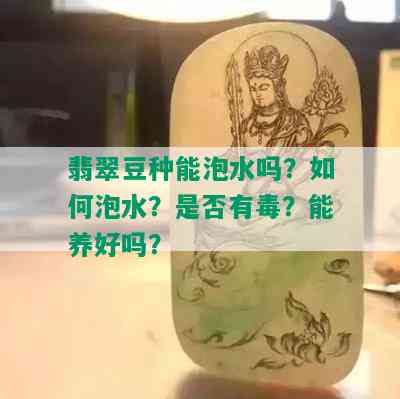 翡翠豆种能泡水吗？如何泡水？是否有？能养好吗？