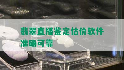 翡翠直播鉴定估价软件准确可靠