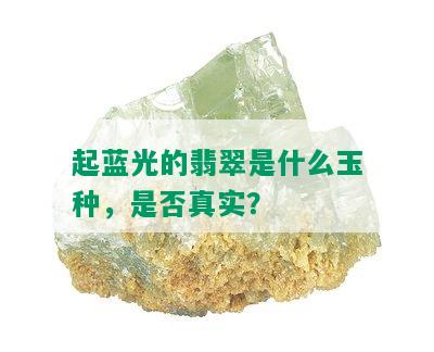 起蓝光的翡翠是什么玉种，是否真实？