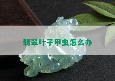 翡翠叶子甲虫怎么办