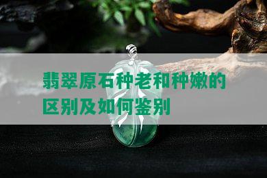 翡翠原石种老和种嫩的区别及如何鉴别