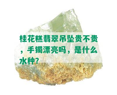 桂花糕翡翠吊坠贵不贵，手镯漂亮吗，是什么水种？