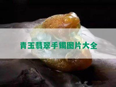 青玉翡翠手镯图片大全