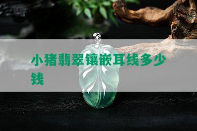 小猪翡翠镶嵌耳线多少钱