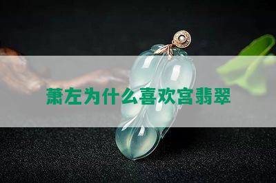 萧左为什么喜欢宫翡翠