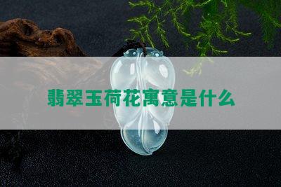 翡翠玉荷花寓意是什么