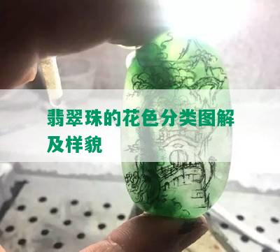 翡翠珠的花色分类图解及样貌