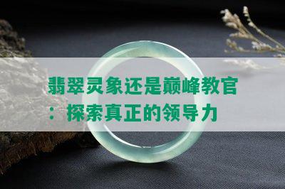 翡翠灵象还是巅峰教官：探索真正的领导力