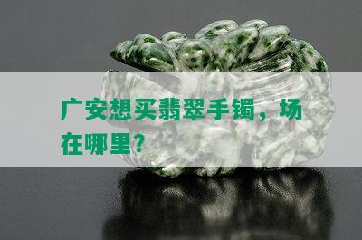 广安想买翡翠手镯，场在哪里？