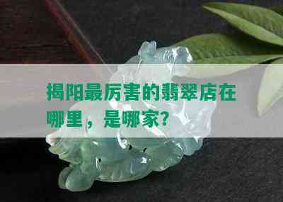 揭阳最厉害的翡翠店在哪里，是哪家？