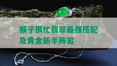 猴子很忙翡翠最强搭配及黄金新手阵容