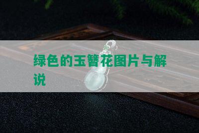 绿色的玉簪花图片与解说