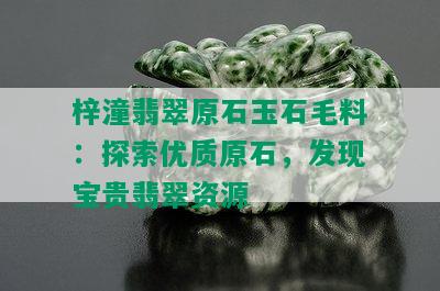 梓潼翡翠原石玉石毛料：探索优质原石，发现宝贵翡翠资源