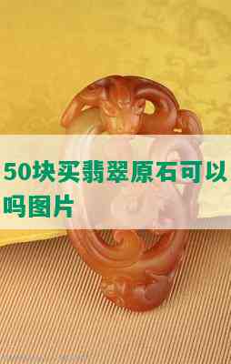 50块买翡翠原石可以吗图片