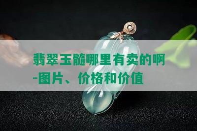 翡翠玉髓哪里有卖的啊-图片、价格和价值