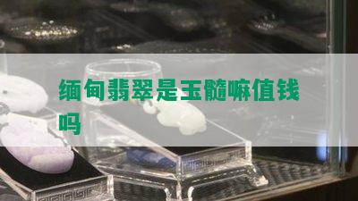 缅甸翡翠是玉髓嘛值钱吗