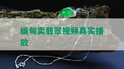 缅甸卖翡翠视频真实播放