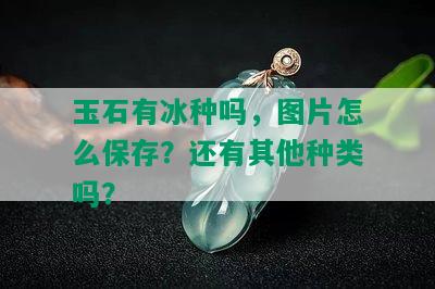 玉石有冰种吗，图片怎么保存？还有其他种类吗？