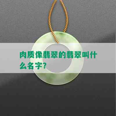 肉质像翡翠的翡翠叫什么名字？