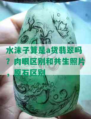 水沫子算是a货翡翠吗？肉眼区别和共生照片，原石区别