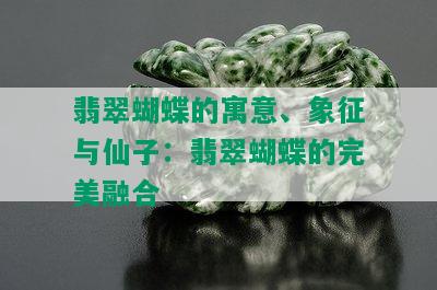 翡翠蝴蝶的寓意、象征与仙子：翡翠蝴蝶的完美融合